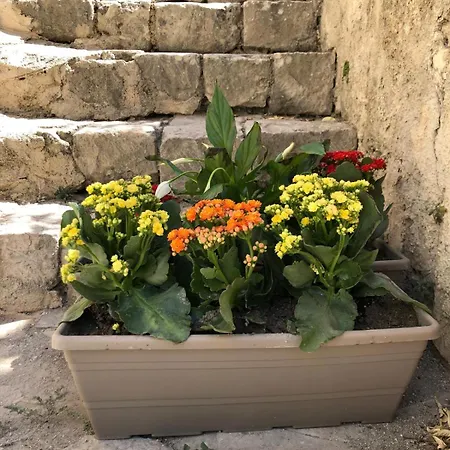 Acciana Garden - Oasi In Pieno Centro Storico - Bassa Modica